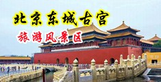 操bb视频中国北京-东城古宫旅游风景区